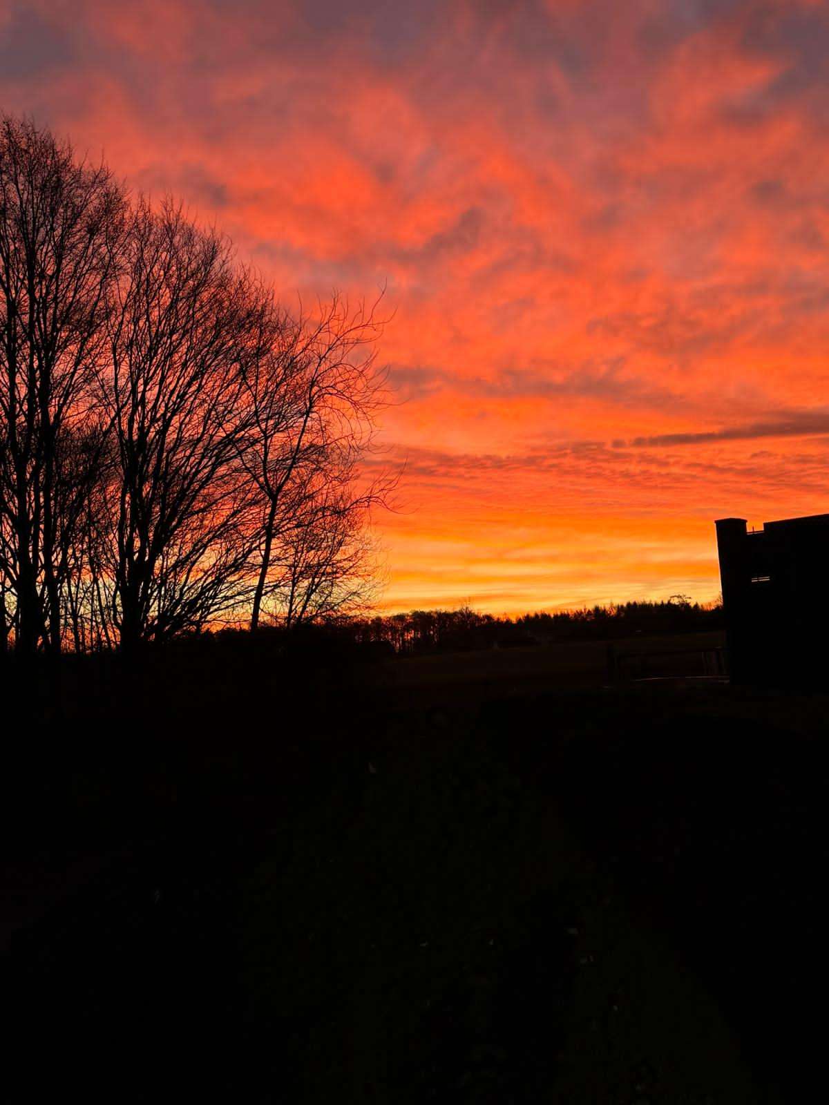 Hello World! Welcome To The Sequestered Owl Blog