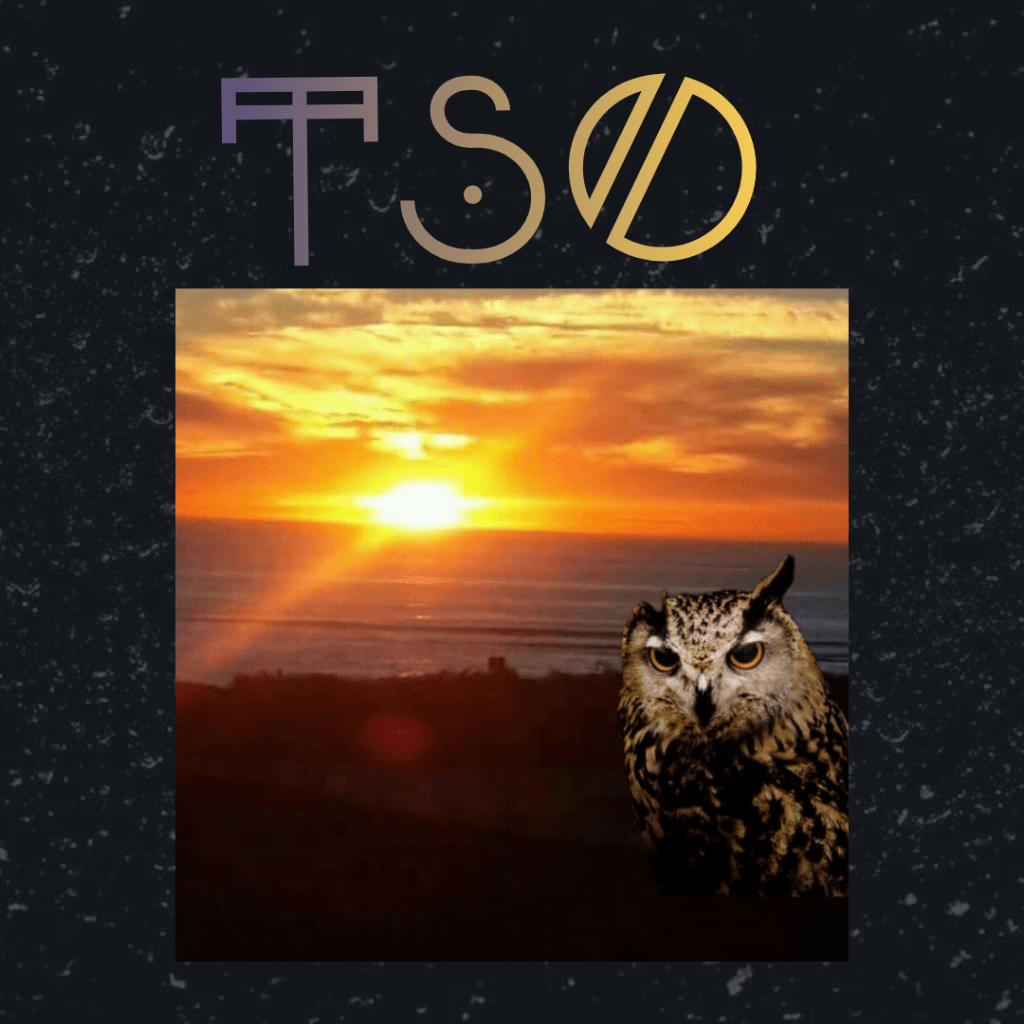 The Sequestered Owl Blog Logo, Contact Page @ https://sequesteredowl.com/contact/